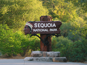 Sequoia National Park