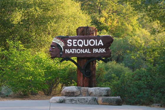 Sequoia National Park