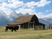Grand Teton Nation Park