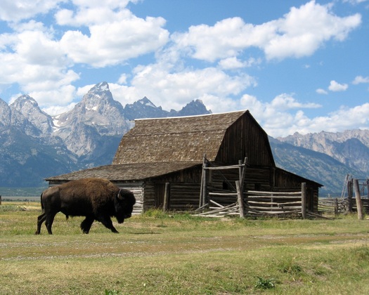 Grand Teton Nation Park