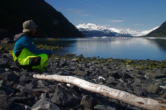 Chugach National Forest 