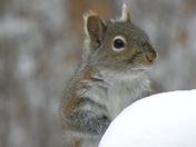 Sleeping Bear Dunes National Lakeshore
