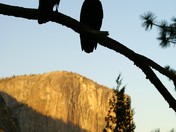 Yosemite National Park