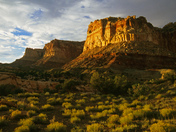 Capitol Reef National Park
