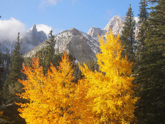 Great Basin National Park