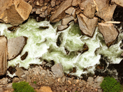 Black Canyon of the Gunnison River