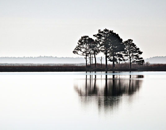 Blackwater National Wildlife Refuge