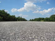 Gateway National Recreation Area - Floyd Bennett Field