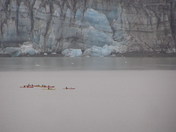 Glacier Bay National Park