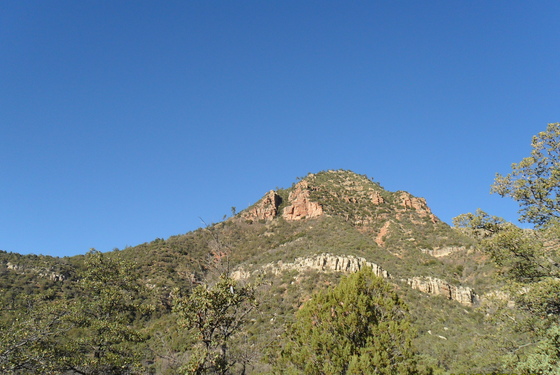 Tonto National Forest