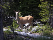 Newberry Crater National Monument