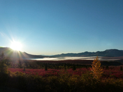 Denali National Park