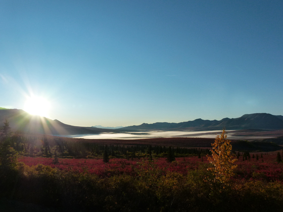Denali National Park
