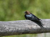 Grand Teton National Park