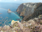 Channel Islands National Park