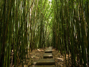 Haleakala National Park