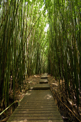 Haleakala National Park