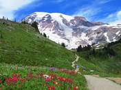 Mt. Rainier National Park