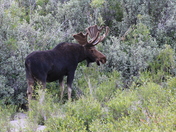 Grand Teton National Park