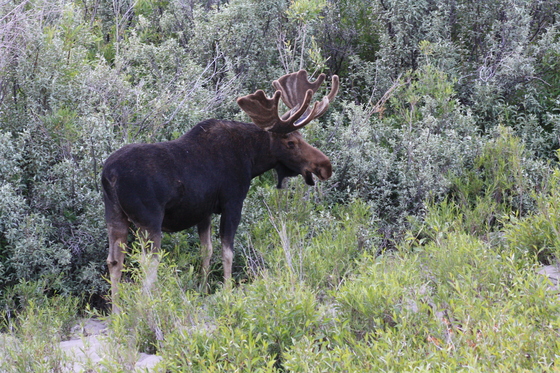Grand Teton National Park