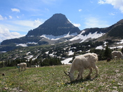 Grand Teton National Park
