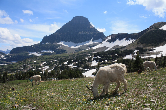 Grand Teton National Park