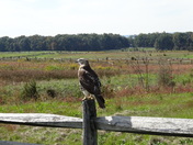 Gettysburg National Military Park