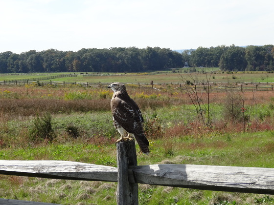 Gettysburg National Military Park