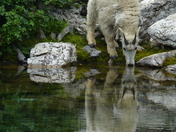 Bob Marshall Wilderness