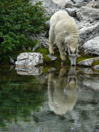 Bob Marshall Wilderness