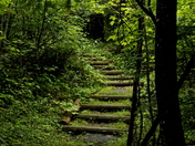 Voyageurs National Park