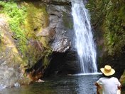 Pisgah National Forest