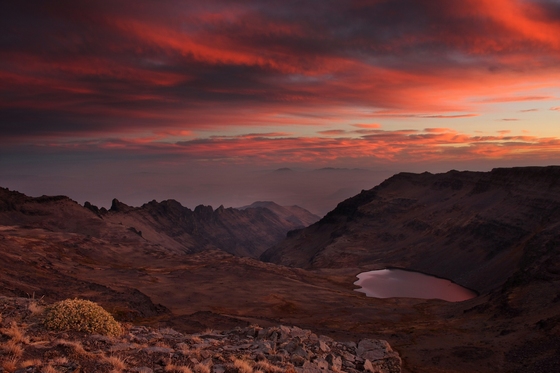 Steens Mountain Cooperative Management and Protection Area 