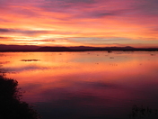Tule Lake Wildlife Refuge / Lava Beds National Monument
