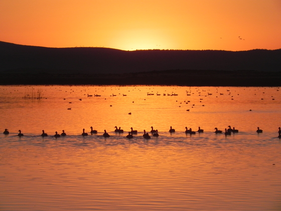 Tule Lake Wildlife Refuge