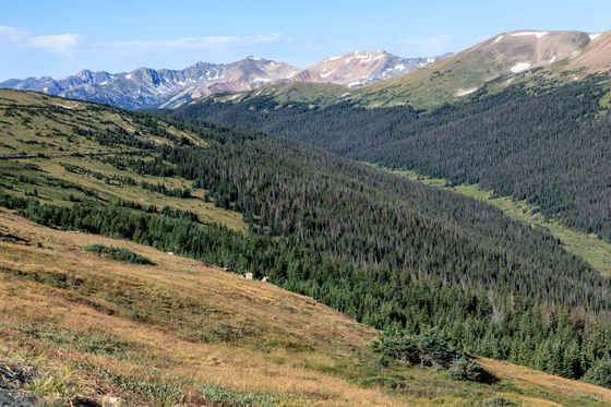 Rocky Mountain National Park