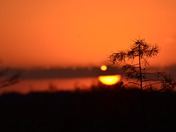 The Everglades National Park