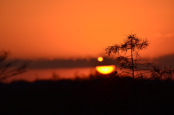 The Everglades National Park