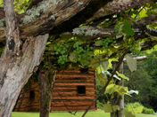 Booker T Washington National Monument