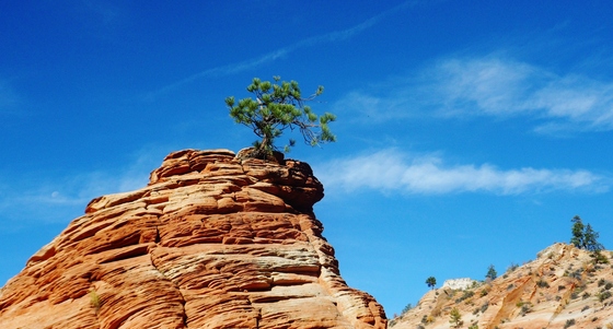 Zion National Park