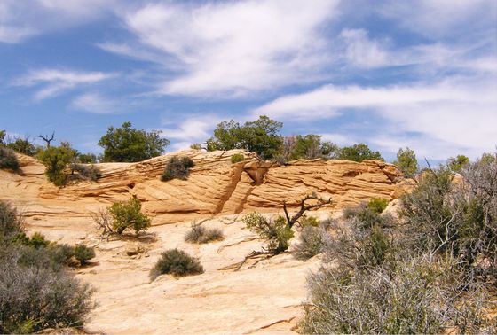 National Park
