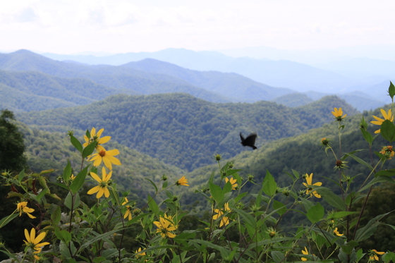 Blue Ridge Parkway