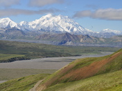 Denali National Park