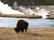 Yellowstone National Park