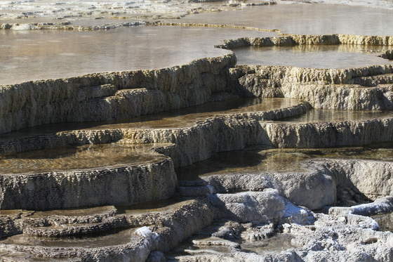 Yellowstone National Park