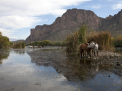 Tonto National Forest