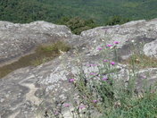 Shenandoah National Park