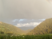 Bridger Teton National Forest