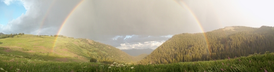 Bridger Teton National Forest