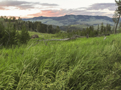 Yellowstone National Park